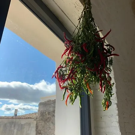 Vintage House In Centro Storico Basilicata Puglia * Irsina