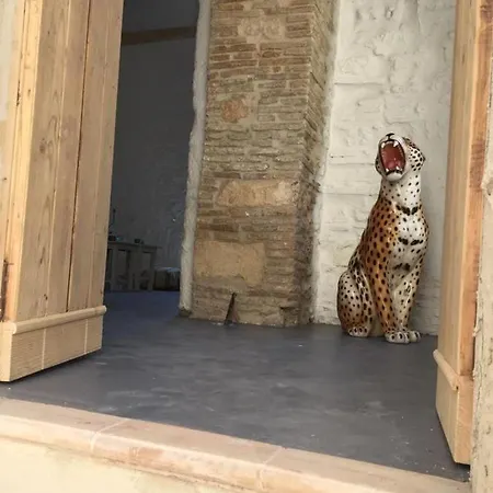 Vintage House In Centro Storico Basilicata Puglia Dom wakacyjny *