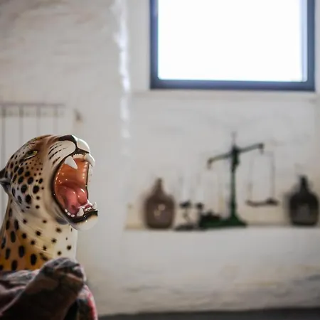 Dom wakacyjny Vintage House In Centro Storico Basilicata Puglia