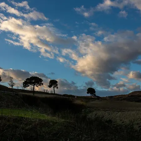 Vintage House In Centro Storico Basilicata Puglia *